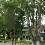 Hostal El Hangar 65